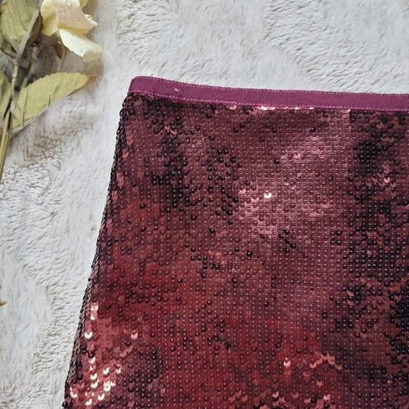 Theory Sequin Roxanne Spread Mini Skirt Size 00 - Picture 5 of 12